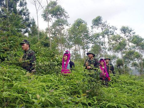 ກຳລັງກອງທັບຕັ້ງໜ້າປ້ອງກັນ, ຕ້ານອາດຊະຍາກຳ